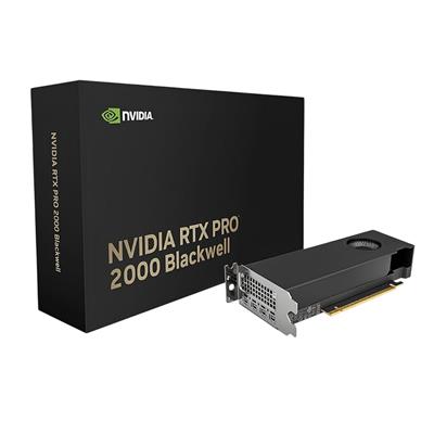 Placa de Video PNY NVIDIA Quadro RTX PRO 2000 Blackwell 16GB GDDR7 4x Mini DisplayPort
